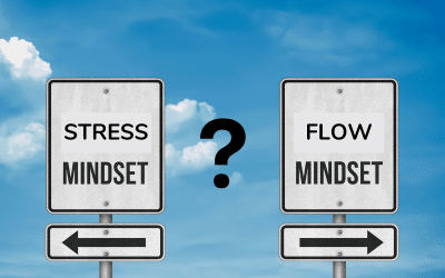 Stress oder Flow? Dein Mindset entscheidet!